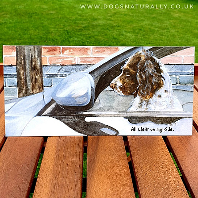 Parked Car Spaniel Dog Lover Card